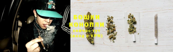 МДПВ Инсар