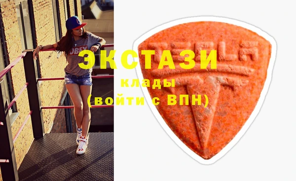 МДПВ Инсар