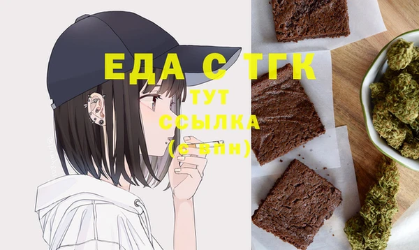 МДПВ Инсар