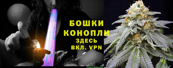 МДПВ Инсар