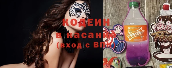 МДПВ Инсар