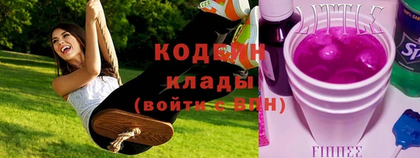стаф Иннополис